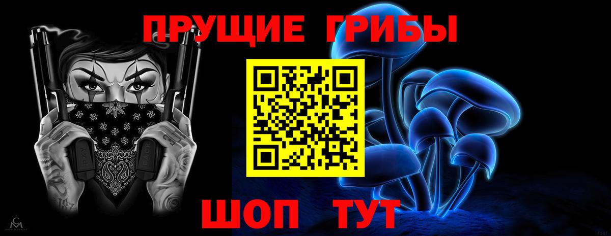 Псилоцибиновые грибы MAGIC MUSHROOMS  где купить наркоту  Новоалтайск  Вход с VPN  Галлюциногенные грибы мицелий 